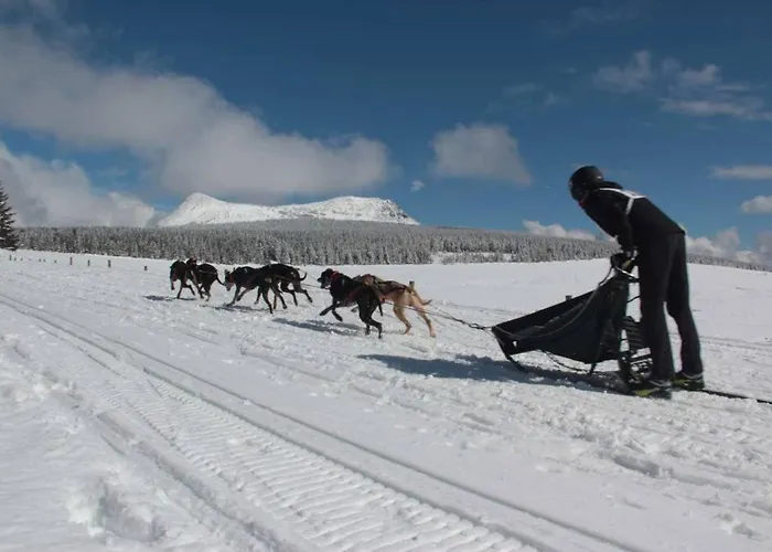 L'abri Massif Du Mézenc Apartamento Saint-Front (Haute-Loire)