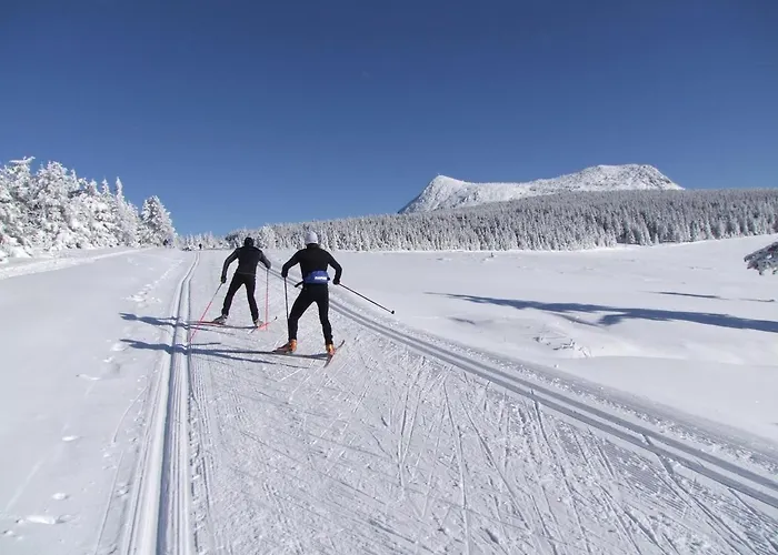 Apartamento L'abri Massif Du Mézenc Saint-Front (Haute-Loire)